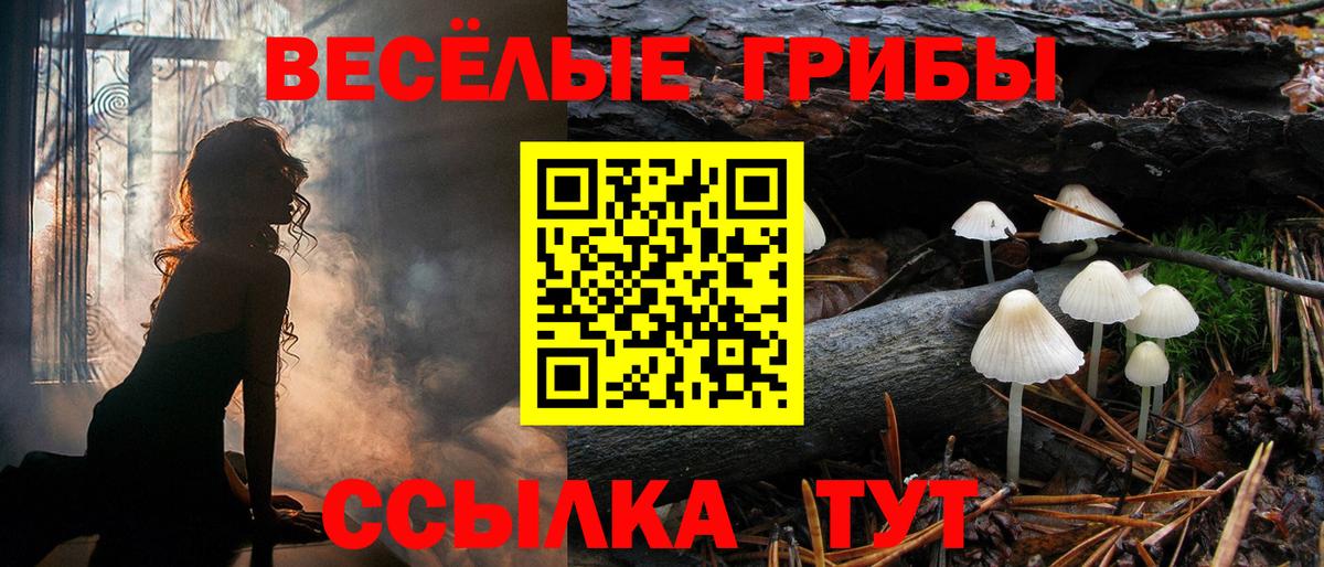 Галлюциногенные грибы Cubensis Алапаевск